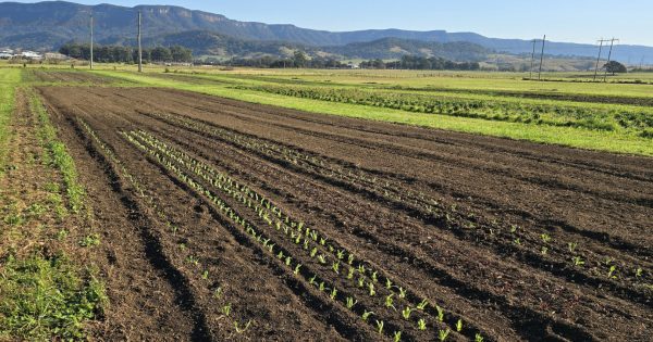 Calderwood Valley Farm springs back to life with fresh produce and new on-site store