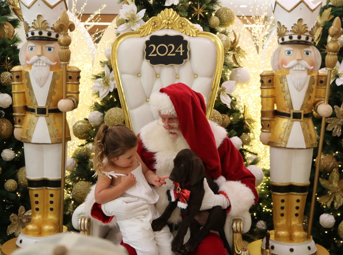 Santa, little girl and a dog