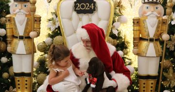 Santa's (almost) ready to welcome people and pets to his festive Wollongong retreat