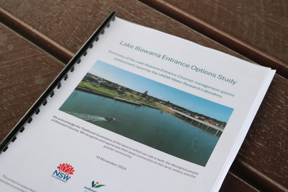 Lake Illawarra Entrance Options Study report.