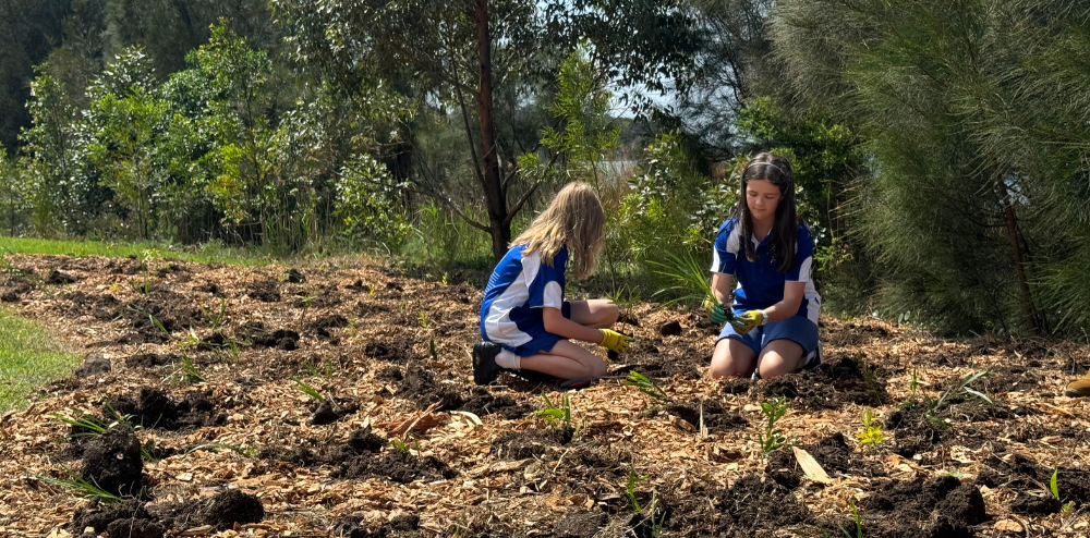 two schoolgirls planting seedlings