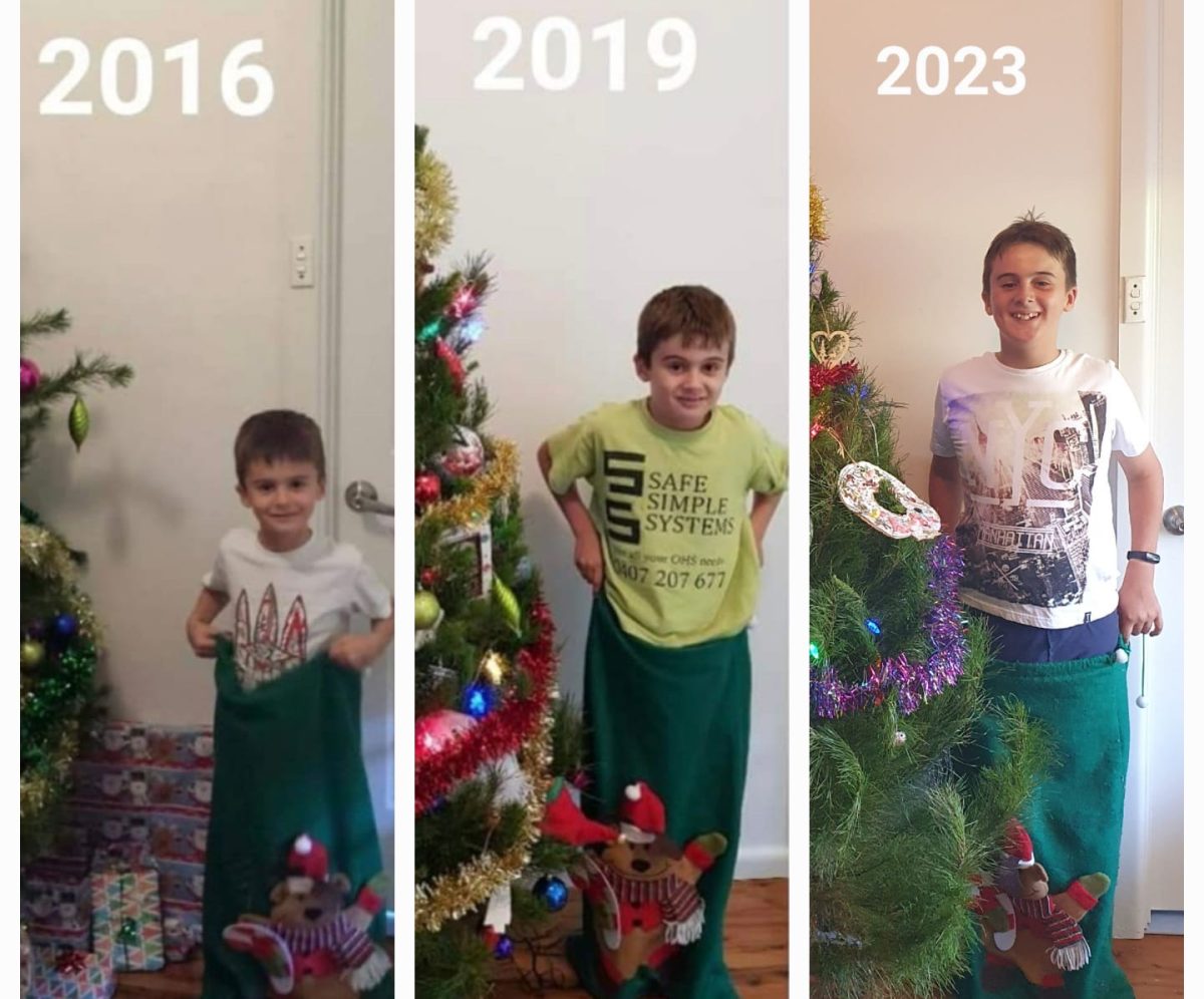 Kid with Christmas tree