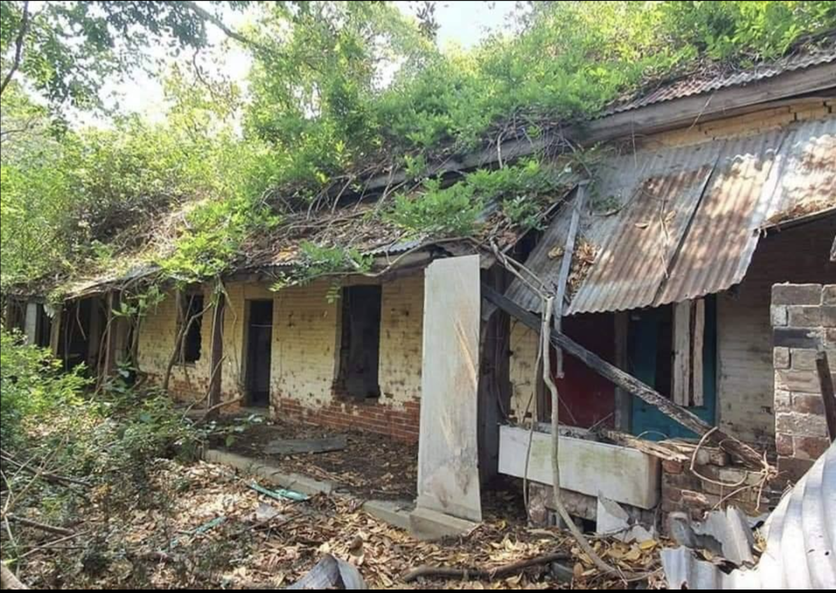 Old house overgrown and in disrepair