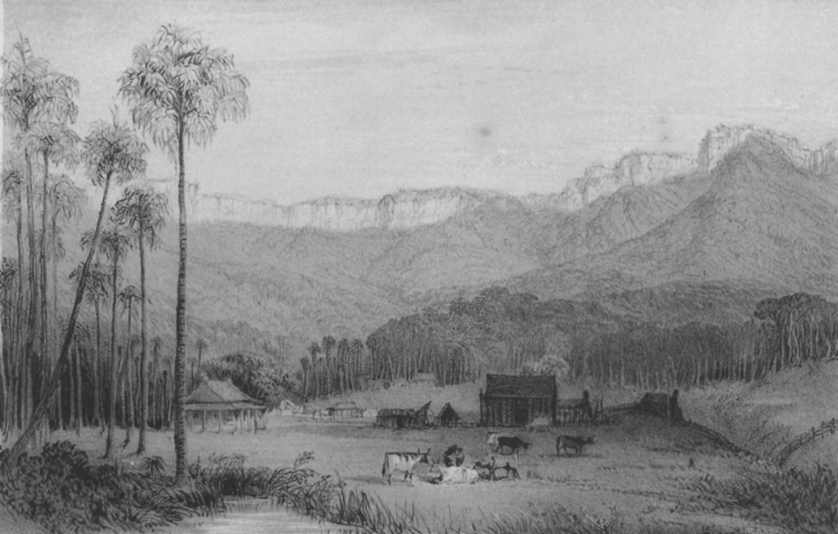 Black and white photo of early Dapto.