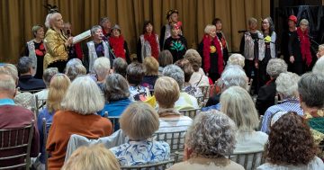 South Illawarra Older Women’s Network to expand its focus to advocacy in 2025