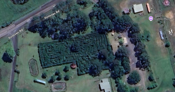 Decades-long legal stoush between Granties Maze and Kiama Council ends with destruction order