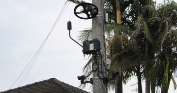 New noise camera trial to crack down on 'hooning' in Wollongong streets