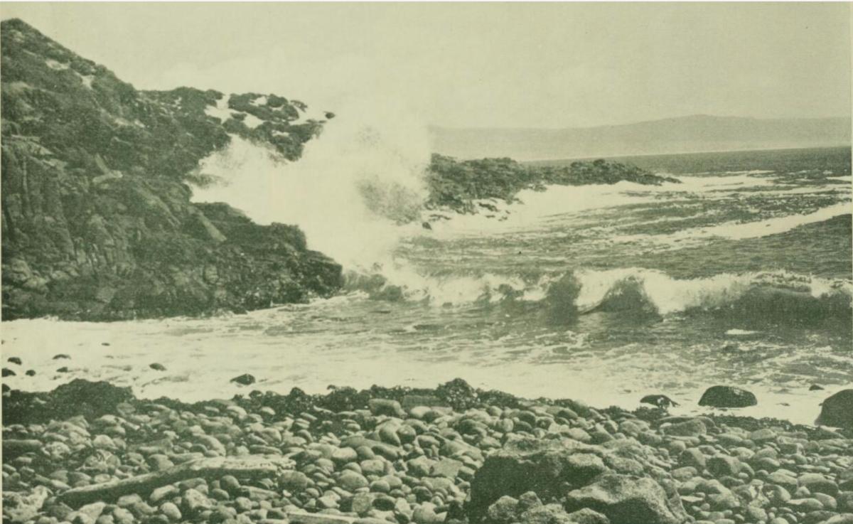 A photo taken by L A Lyons of part of Perkins Island (now known as Big Island) as seen in 1950.