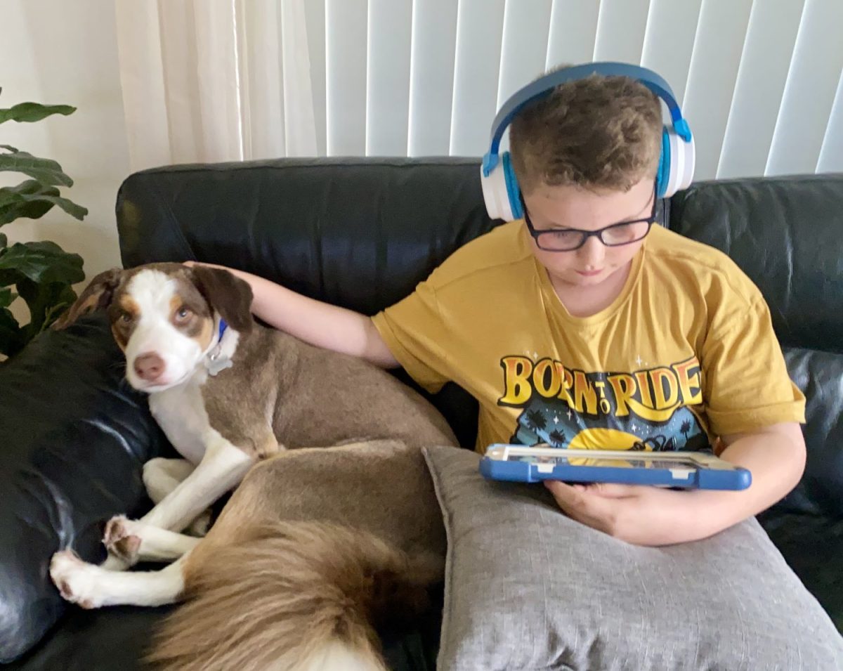 Boy with a dog.