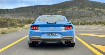 Kosciuszko National Park needs more wild horses - of the Ford Mustang GT variety