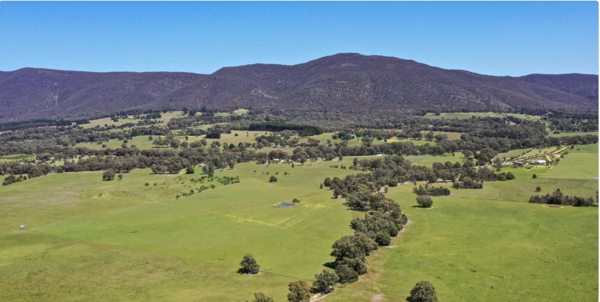 Landscape of paddocks and mountains