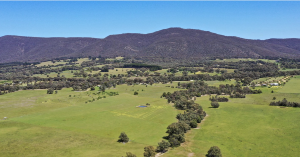 The mystery Illawarra connection between our region and tiny Victorian town stumps historian