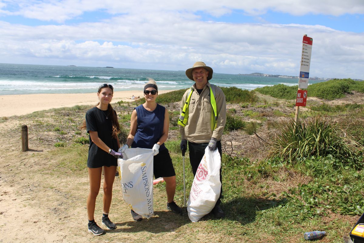 People cleaning up a beach