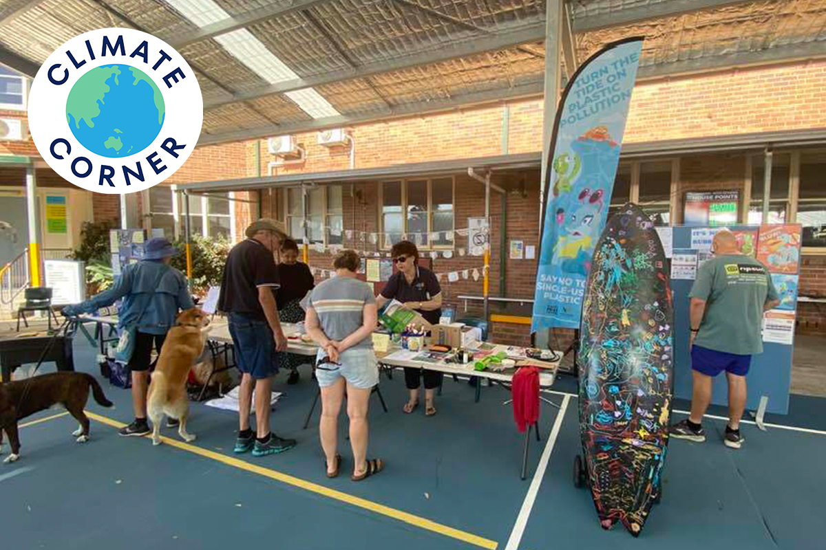 If you want to learn how to sharpen a knife, set up your own beehive, or get some bargain tools, Corrimal Rotary's GreenFest in March is the place to go. 