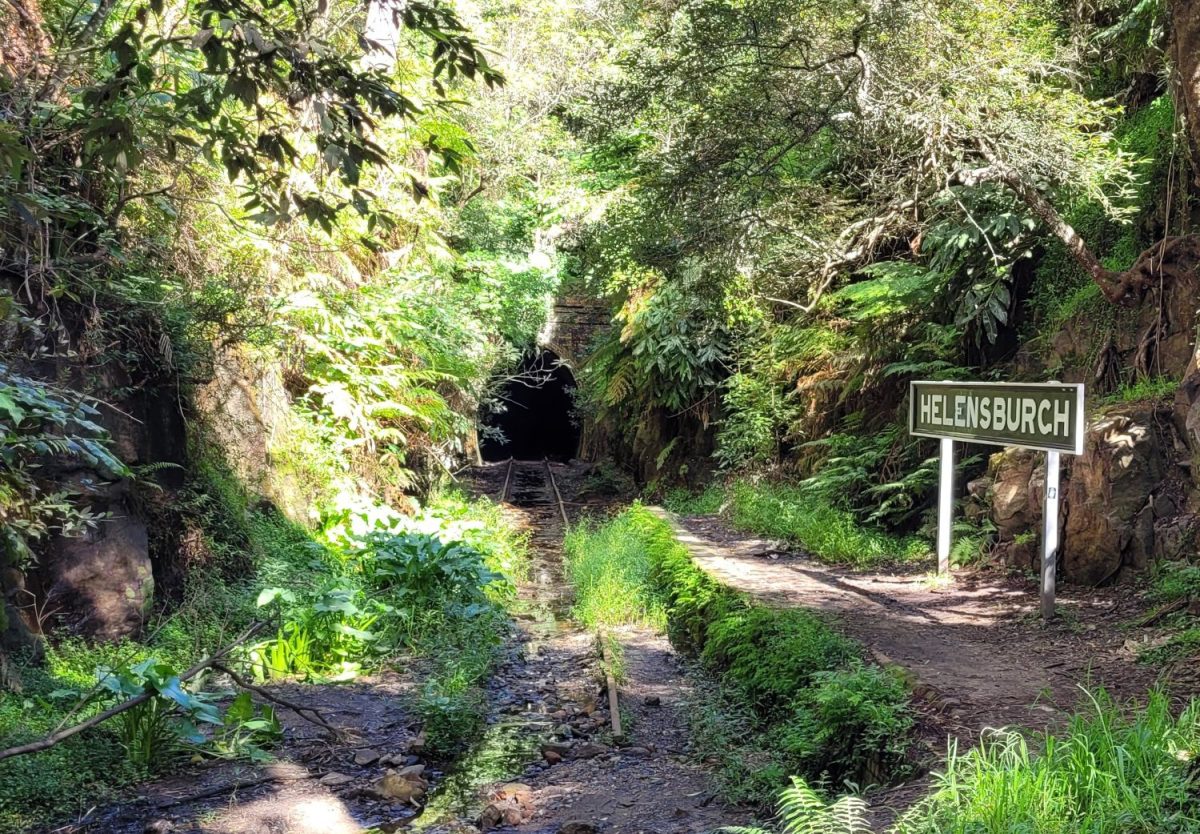 Helensburgh's glow worm tunnel. 