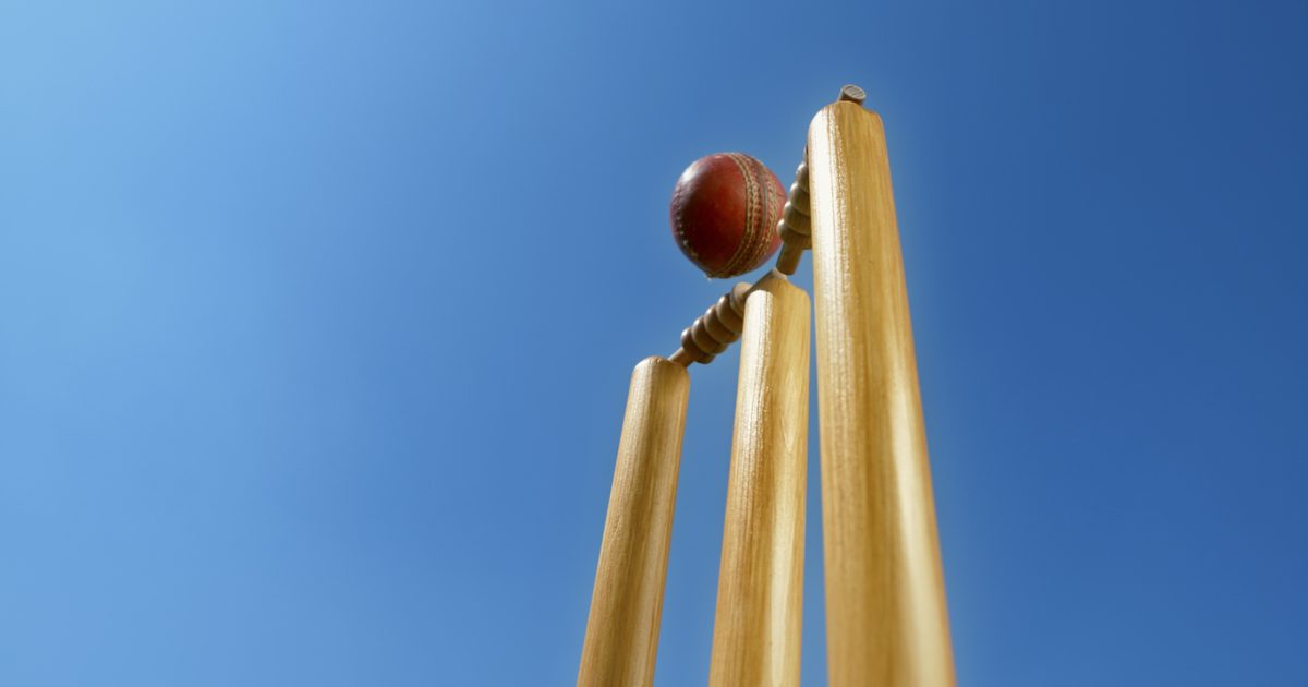 Letter from the Editor: Howzat? Is there such a thing as too much cricket? | Region Illawarra