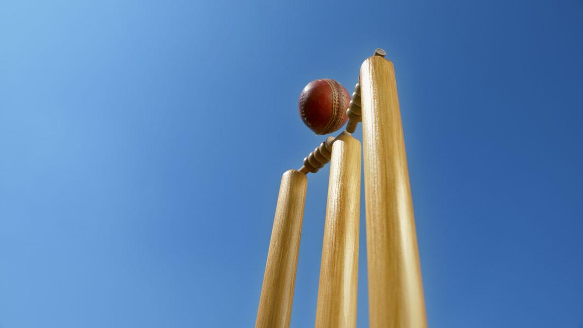 cricket stumps