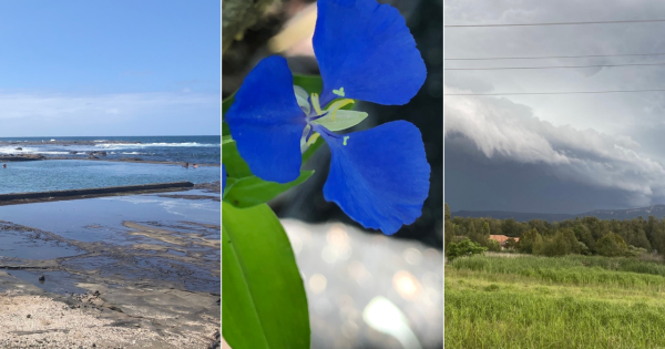 QUIZ: How much do you know about summer in the Illawarra's great outdoors?