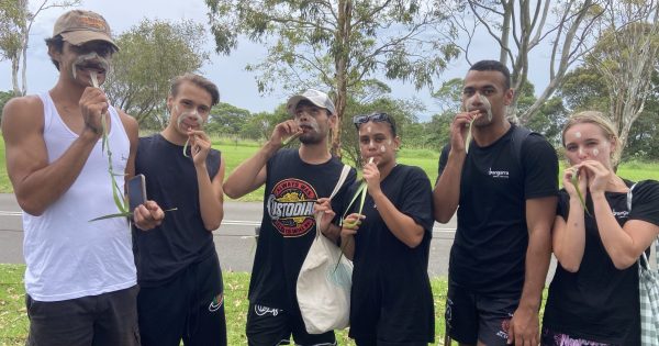 Bangarra dancers leap at chance to learn on Dharawal Country