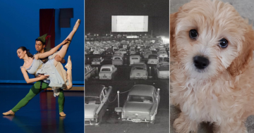 QUIZ: What was the last feature shown at Fairy Meadow drive-in? Plus 9 other questions