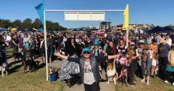 Four-legged friends farewell event that's supported animals in the Illawarra for decades