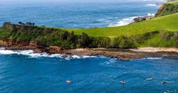 Brave the waters off Gerringong for a final farewell to summer