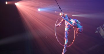 Nine things to do in the Illawarra this week (29 August - 4 September)