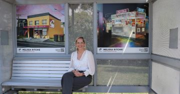 Shellharbour paints a bright future for artists with residencies and speed networking