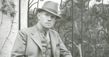 Landscaper's favourite fig trees became his Illawarra landmark