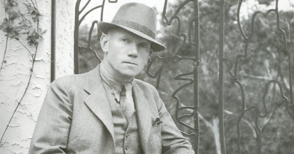 Landscaper's favourite fig trees became his Illawarra landmark