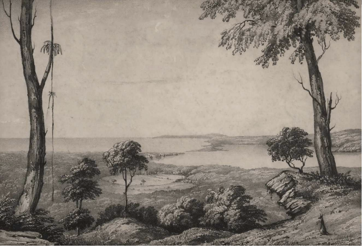 The earliest published image of the Illawarra - “Illawarra Lake” [Tom Thumb Lagoon] a lithograph from 1838 drawn on stone by W Gauci and printed by Charles Joseph Hullmandel after a watercolour by Robert 