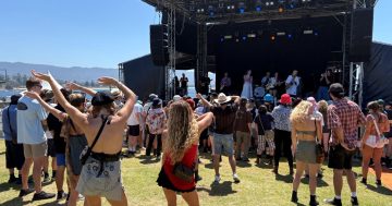 Fans from near and far give tick of approval to Yours and Owls' Flagstaff Hill festival