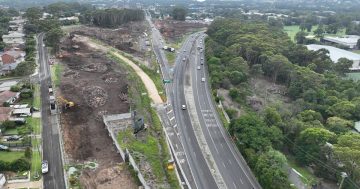 Vegetation removal near uni 'unavoidable' to allow progress on Mt Ousley Interchange