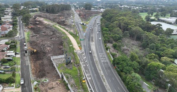 Vegetation removal near uni 'unavoidable' to allow progress on Mt Ousley Interchange