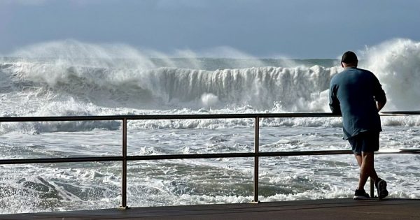 Gargantuan swells batter Illawarra coast