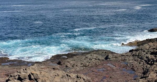 Body found at Bass Point in search for missing fisherman