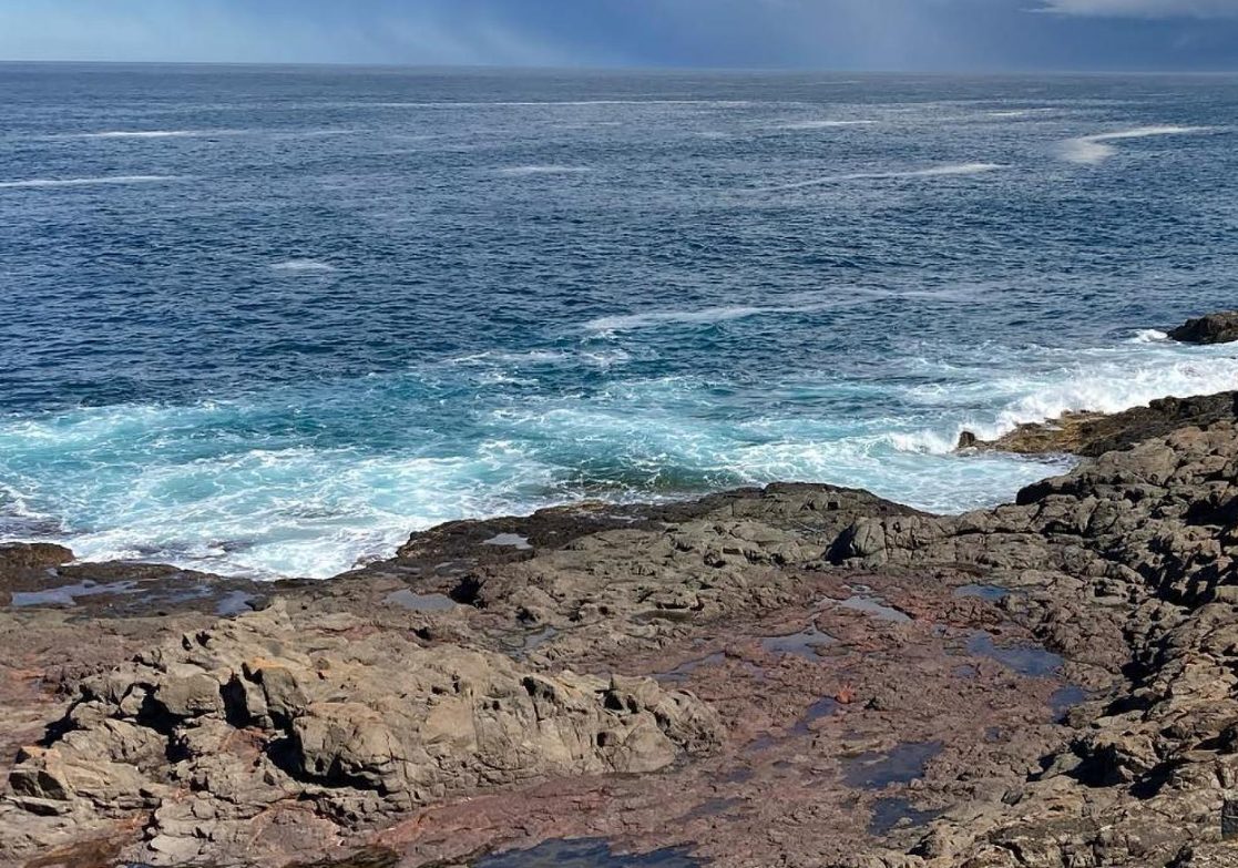 Bass Point Shellharbour