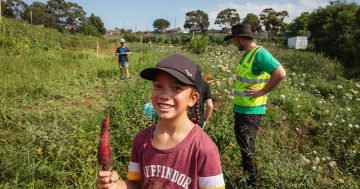 Green Connect outlines path to sustainability, asks Illawarra to help bridge the gap