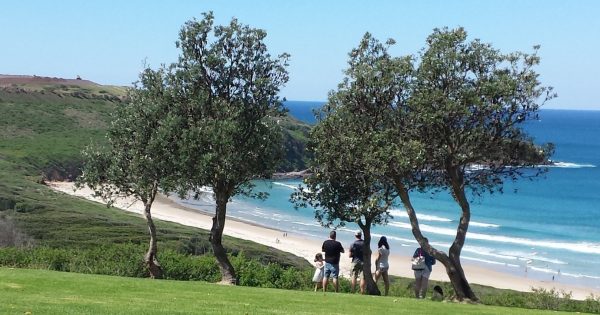 A love letter to Shellharbour, from a disenchanted (but still smitten) resident