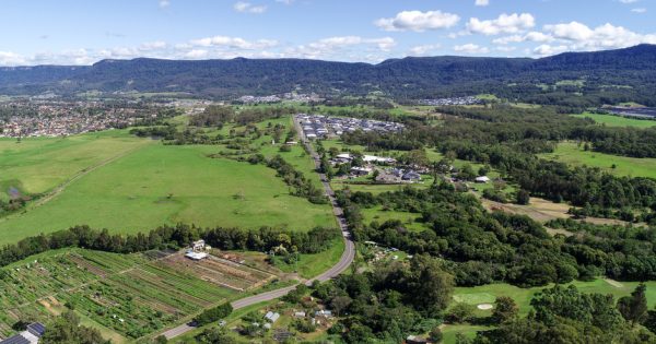 Why are Illawarra units outperforming houses?