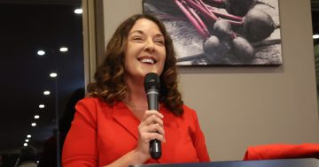 That's a wrap - Labor takes the Illawarra
