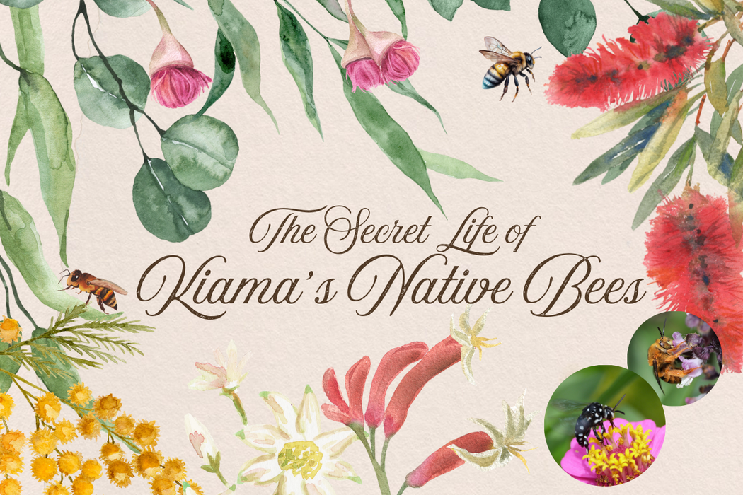 Banner for native bees presentation featuring floral illustrations