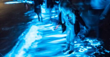 The sea glitters, the fungi glow: Step inside the Illawarra’s bioluminescence