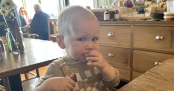 Kind words and knowing smiles help frazzled parents cope with a toddler's meltdown