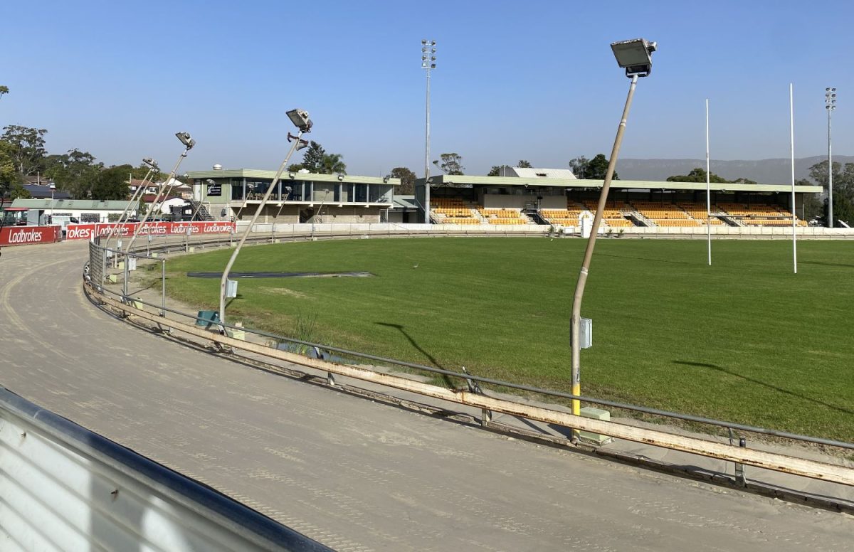 Dog racing track