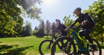 Plans to tackle e-scooter and bike safety amid rising concerns