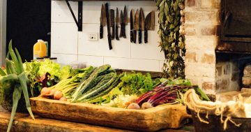 Plant yourself at one of these friendly Illawarra spots for top-tasting vegan meals