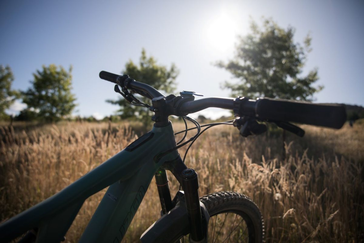 Bike handlebars