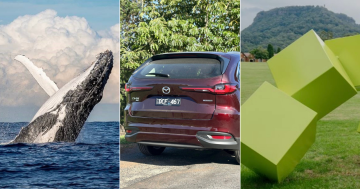 Quiz: Why do whales head north? Plus 9 other questions