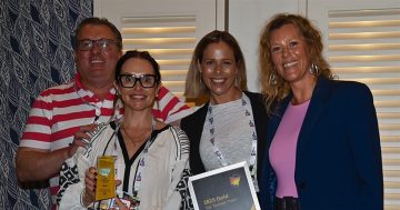 Illawarra, South Coast take out trifecta of state's top towns awards